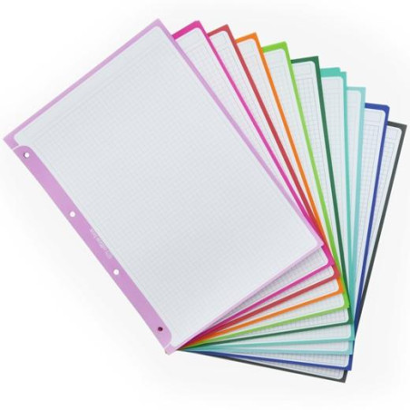 11011 OFFICE BOX RECAMBIO PAPEL CARPETA & BLOCK A4+ COLORLINE 100H 5X5 90GR 10 BANDAS COLOR