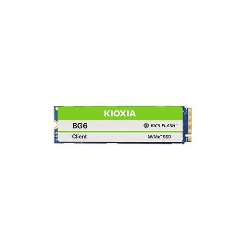 Disco Solido SSD KIOXIA VG60ZNW - 512GB · PCIe 4.0