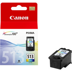 2971B001 Canon Pixma MP240/260/480 cartucho Color CL-513