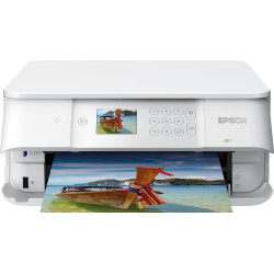 C11CG97404 EPSON MULTIFUNCION Expression Premium XP-6105
