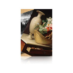 C13S042134 Epson GF Papel Premium Luster Photo