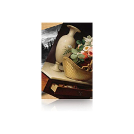 C13S042134 Epson GF Papel Premium Luster Photo