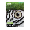 C13S450276 EPSON papel Fine Art Cotton Smooth Bright 300 g/m2 - A2