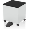 7112286 EPSON Low Cabinet for WF-C529R/C579R Series
