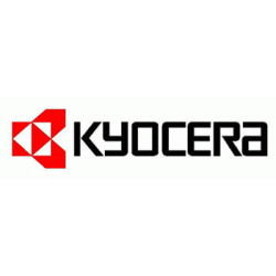 302LW93010 KYOCERA laser FS-3920DN Revelador