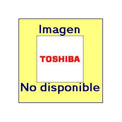 6B000001099 TOSHIBA Modulo Wireless LAN (IEEE 802.11ac/a/b/g/n)