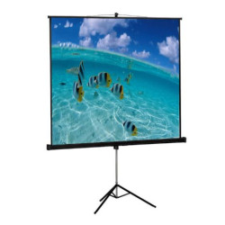 Pantalla de Proyección con Trípode APPROX APPP180T - 180x180