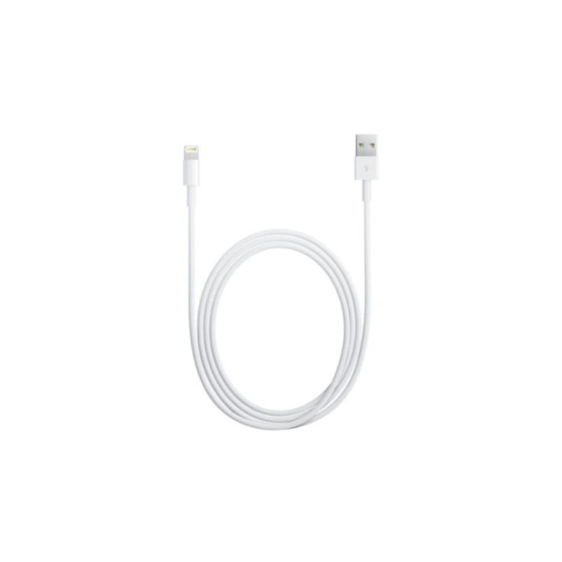 Cable USB 2.0 a Lightning - 1m · Blanco