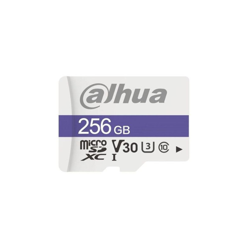 Tarjeta de Memoria DAHUA 1.0.99.80.10175 - 256GB · Clase 10