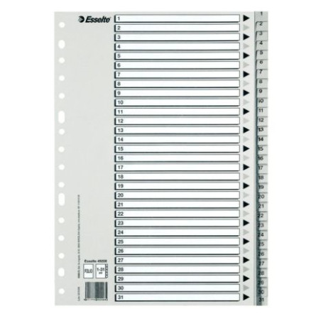 Índice Númerico de Archivador ESSELTE 49210 - A4 · 31 Unidades · Gris