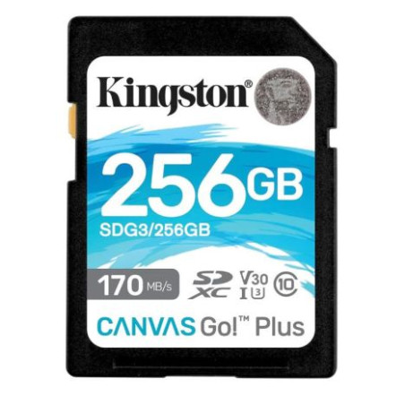 Tarjeta de Memoria KINGSTON Canvas Go Plus SDG3/256GB - 256GB · Clase 10