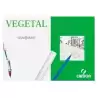 C200406244 CANSON CAJA DE LÁMINAS VEGETAL BASIK 250 HOJAS 90GR 29