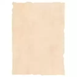 2601229 MICHEL PERGAMINO TROQUELADO 200GR A4 PACK 25U BEIGE