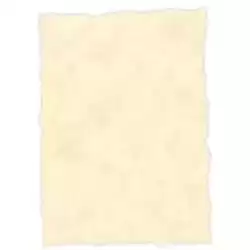 2604229 MICHEL PERGAMINO TROQUELADO 150GR A4 PACK 25U TOPACIO