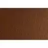 F42450706 SADIPAL CARTULINA LR 200 TEXTURIZADA 50X70CM MARRONE